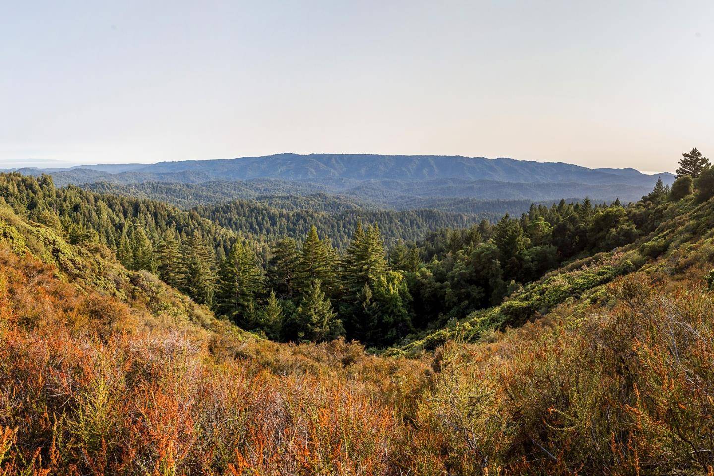 Boulder Creek, CA 95006,089-011-04 Skyview RD