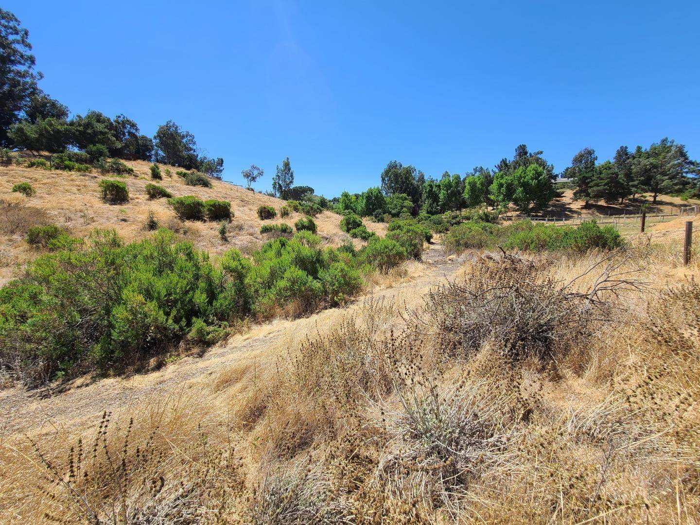 King City, CA 93930,51230 Oak Hills RD