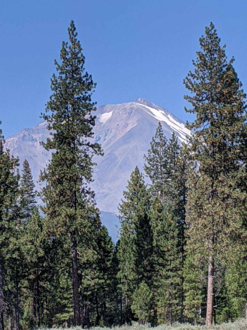 Mccloud, CA 96057,21 Ridge DR