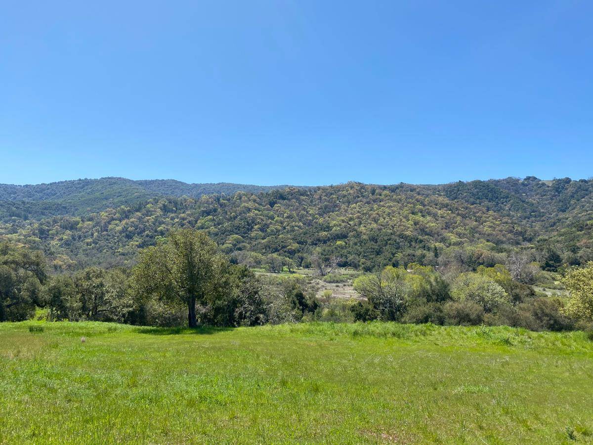 Carmel Valley, CA 93923,40 Pronghorn RUN