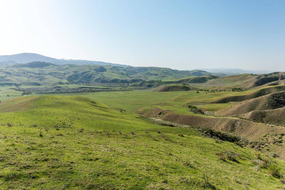 Hollister, CA 95023,0 Thomas RD