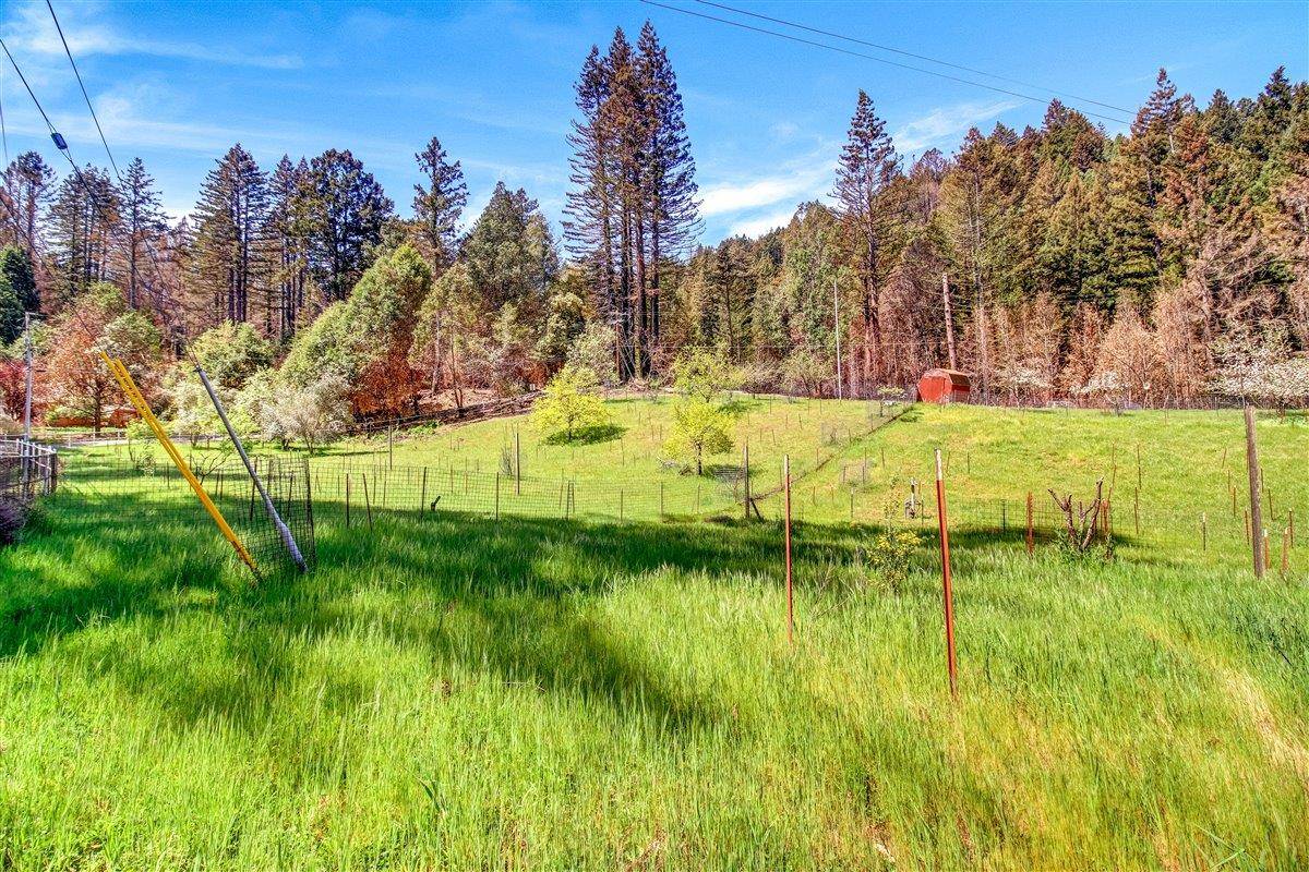 Ben Lomond, CA 95005,12250 Alba RD