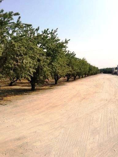 Hughson, CA 95326,5201 Griffin RD