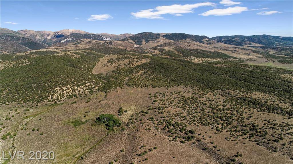 Ely, NV 89301,Duck Creek Development