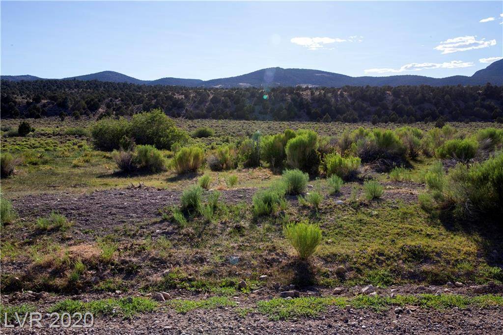 Ely, NV 89301,Duck Creek Development Road