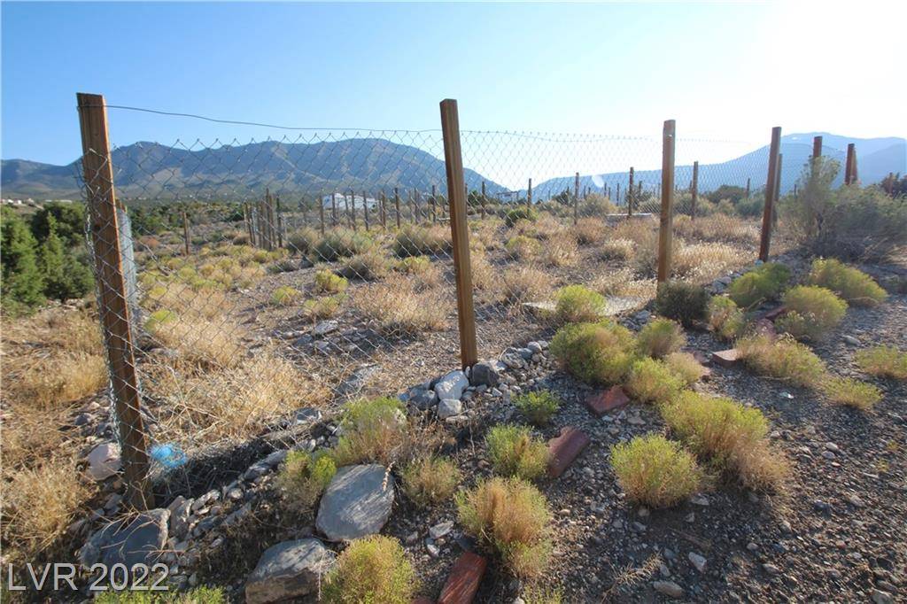 Cold Creek, NV 89124,Angeline
