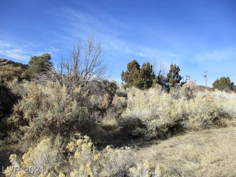 Ursine, NV 89043,NV Hwy 322-2.46 Acres