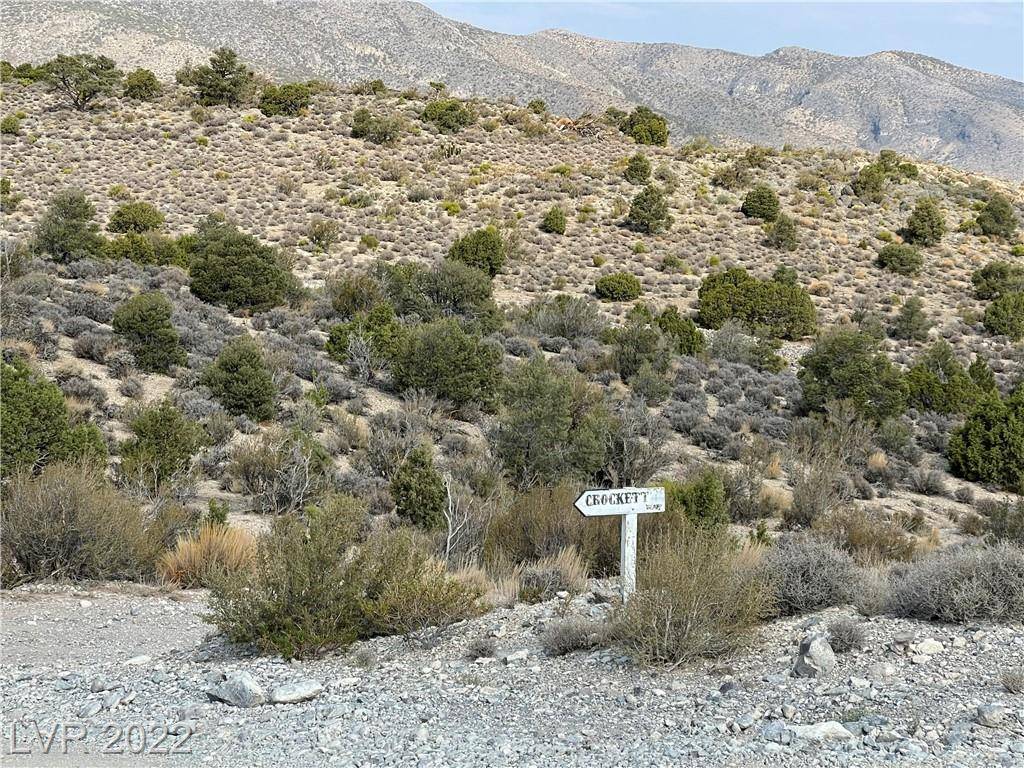 Cold Creek, NV 89124,Crockett