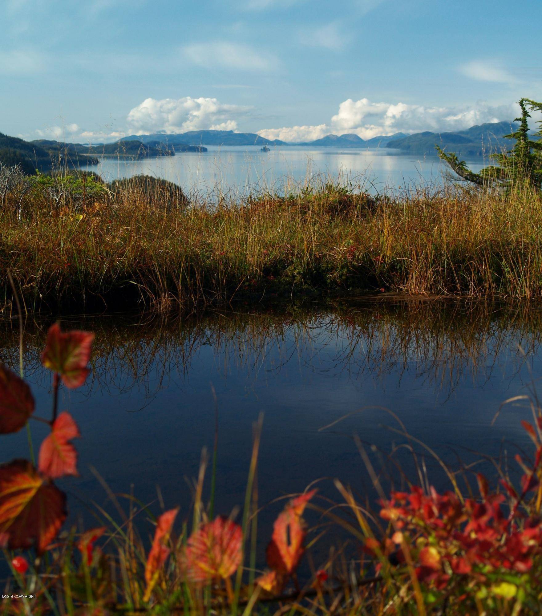 Cordova, AK 99574,111 Cabin Ridge Road