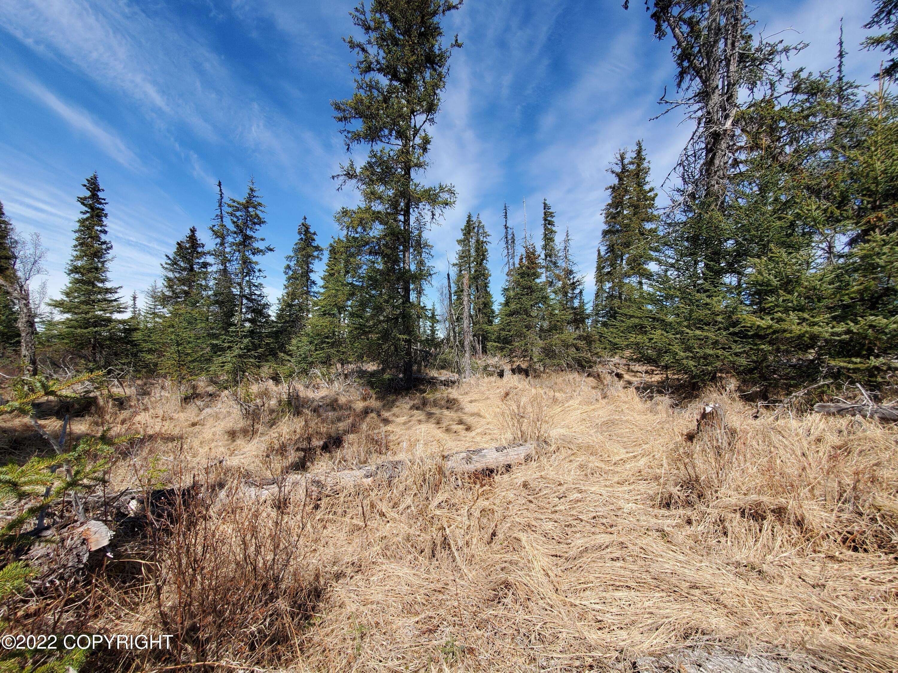 Anchor Point, AK 99556,NSN Tract 14-B