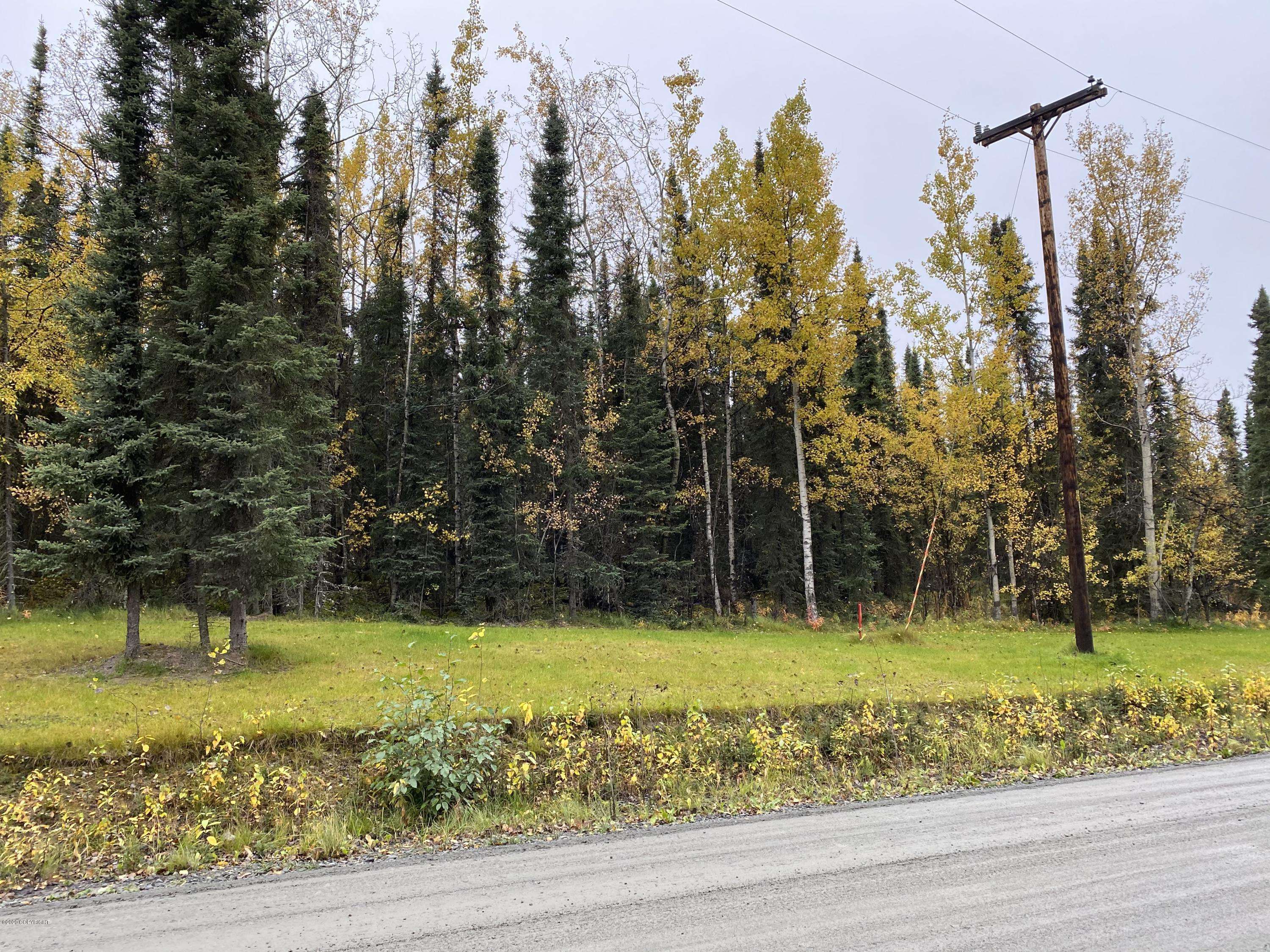 Soldotna, AK 99669,L8C Lake Road