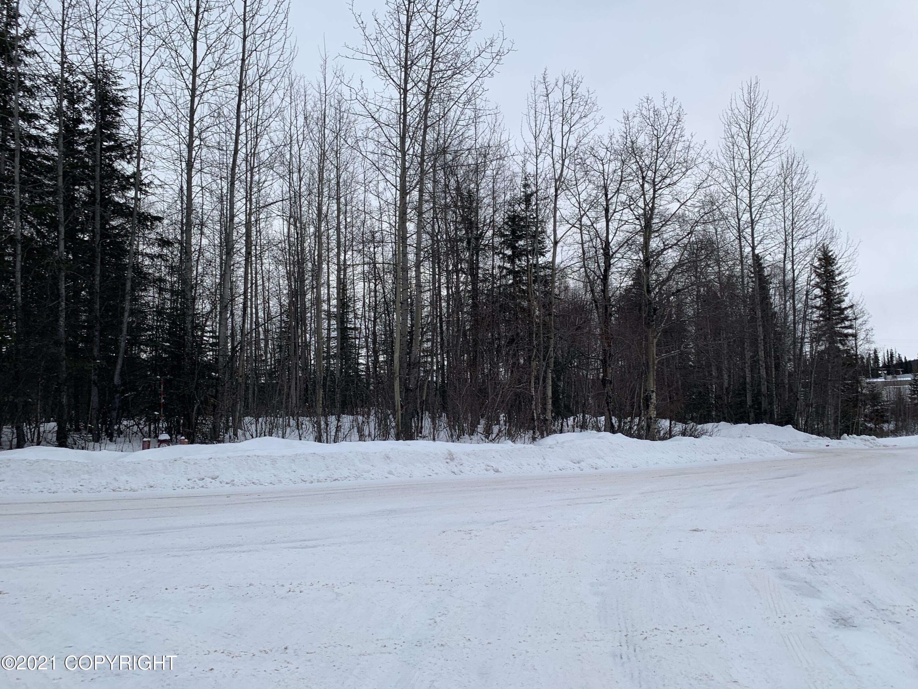 Soldotna, AK 99669,120 S Soldotna Avenue