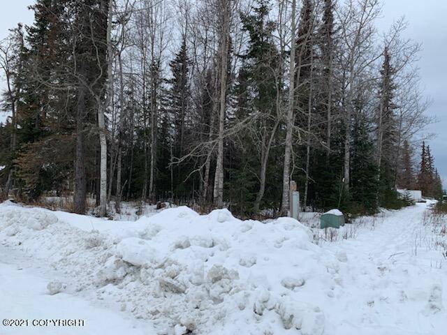 Kenai, AK 99611,1801 Brannigan Circle