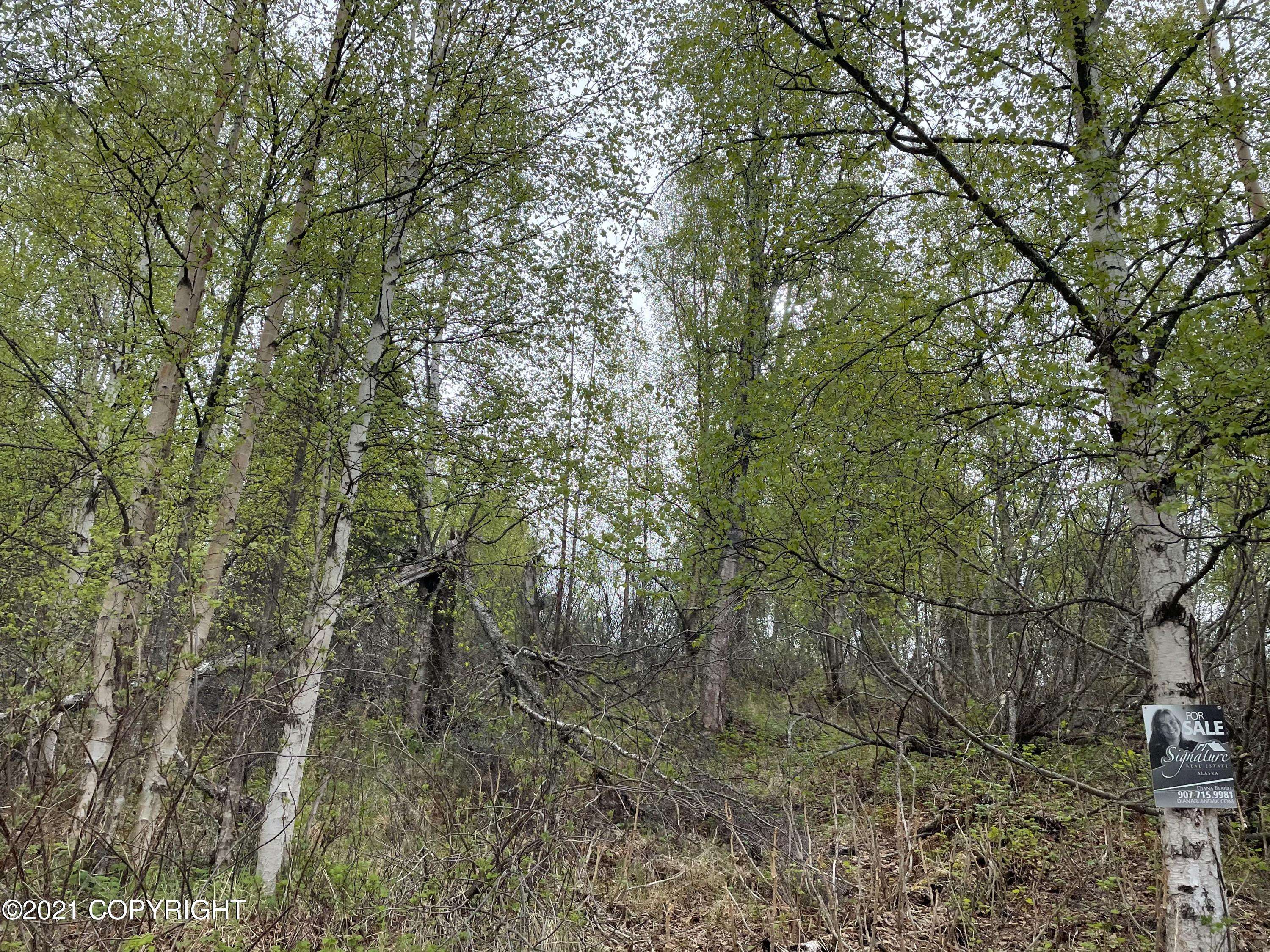 Wasilla, AK 99654,17022 Dairy Loop