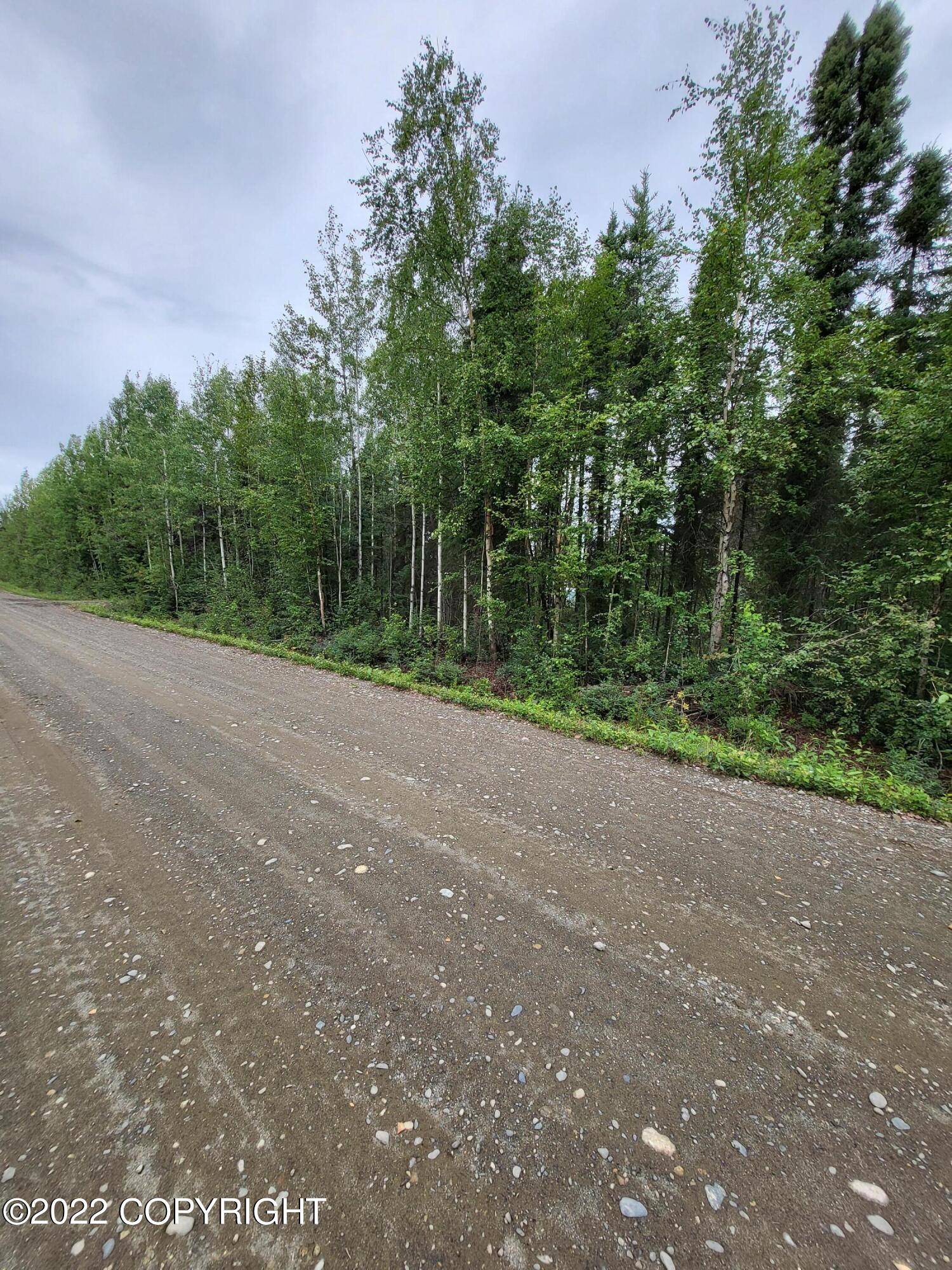 Willow, AK 99688,13877 E Beaver Drive