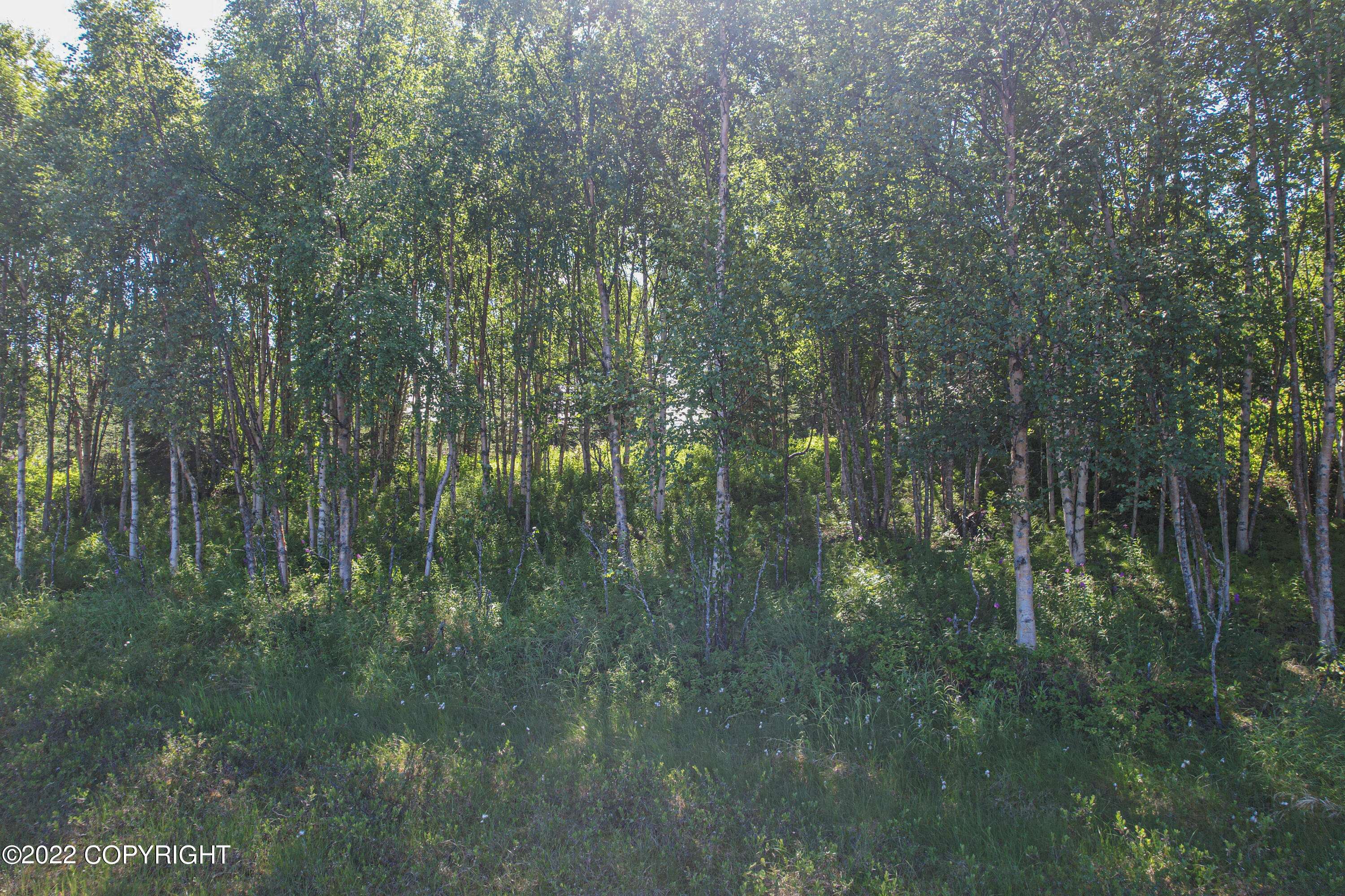 Nikiski/north Kenai, AK 99635,L15 B1 Dove Court
