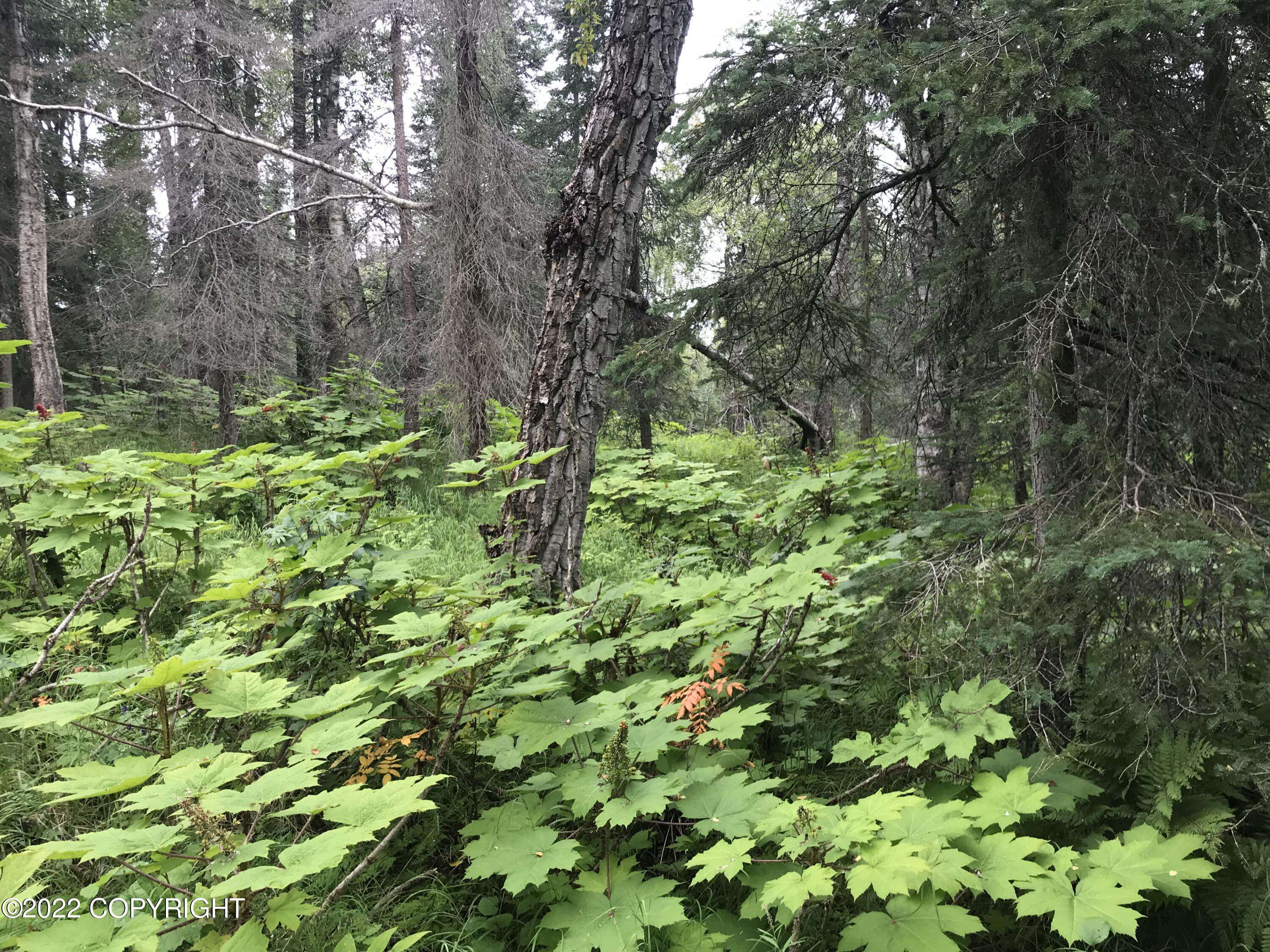 Nikiski/north Kenai, AK 99611,L6 B2 Agate Drive