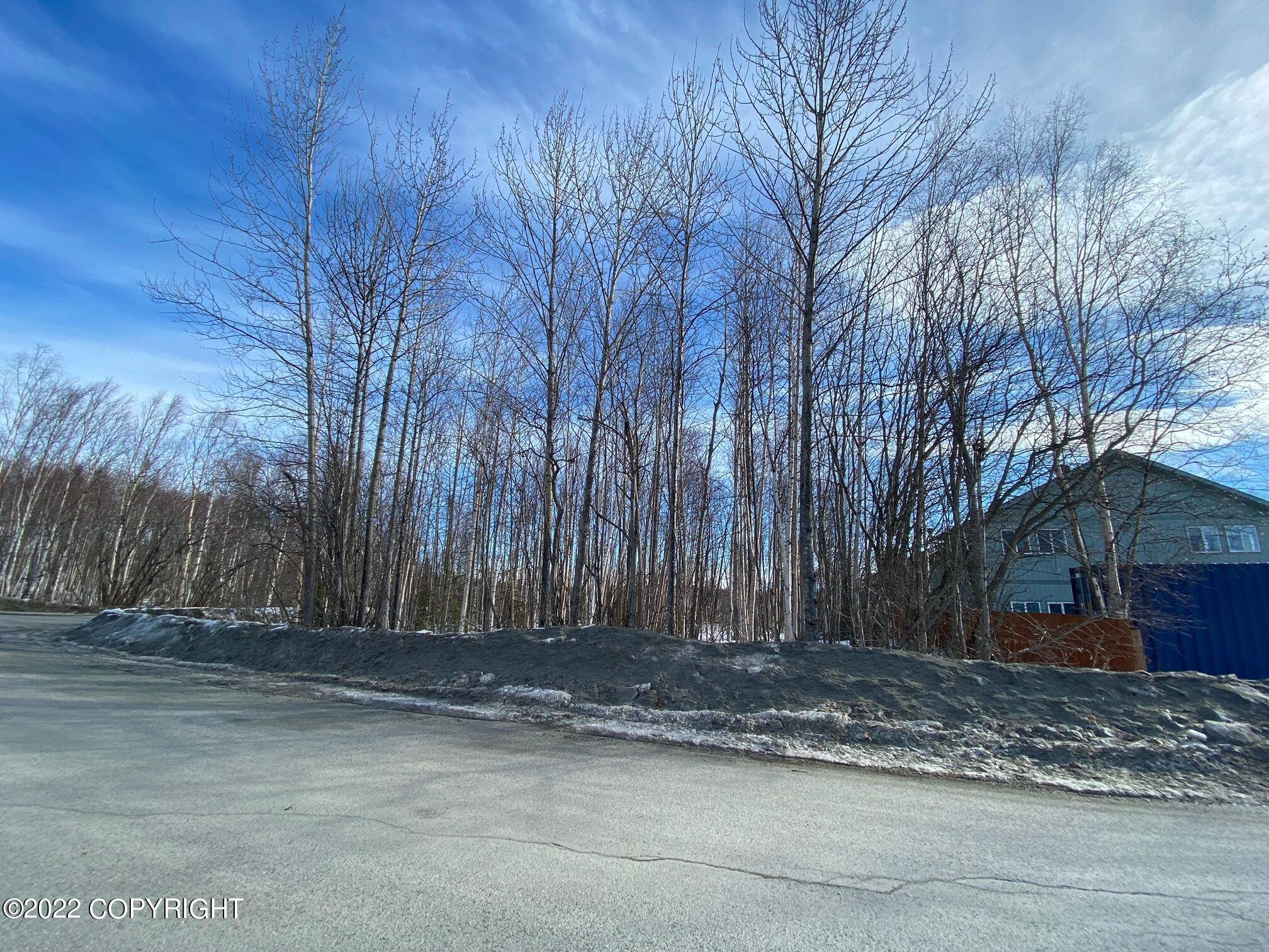 Wasilla, AK 99654,975 S Check Street