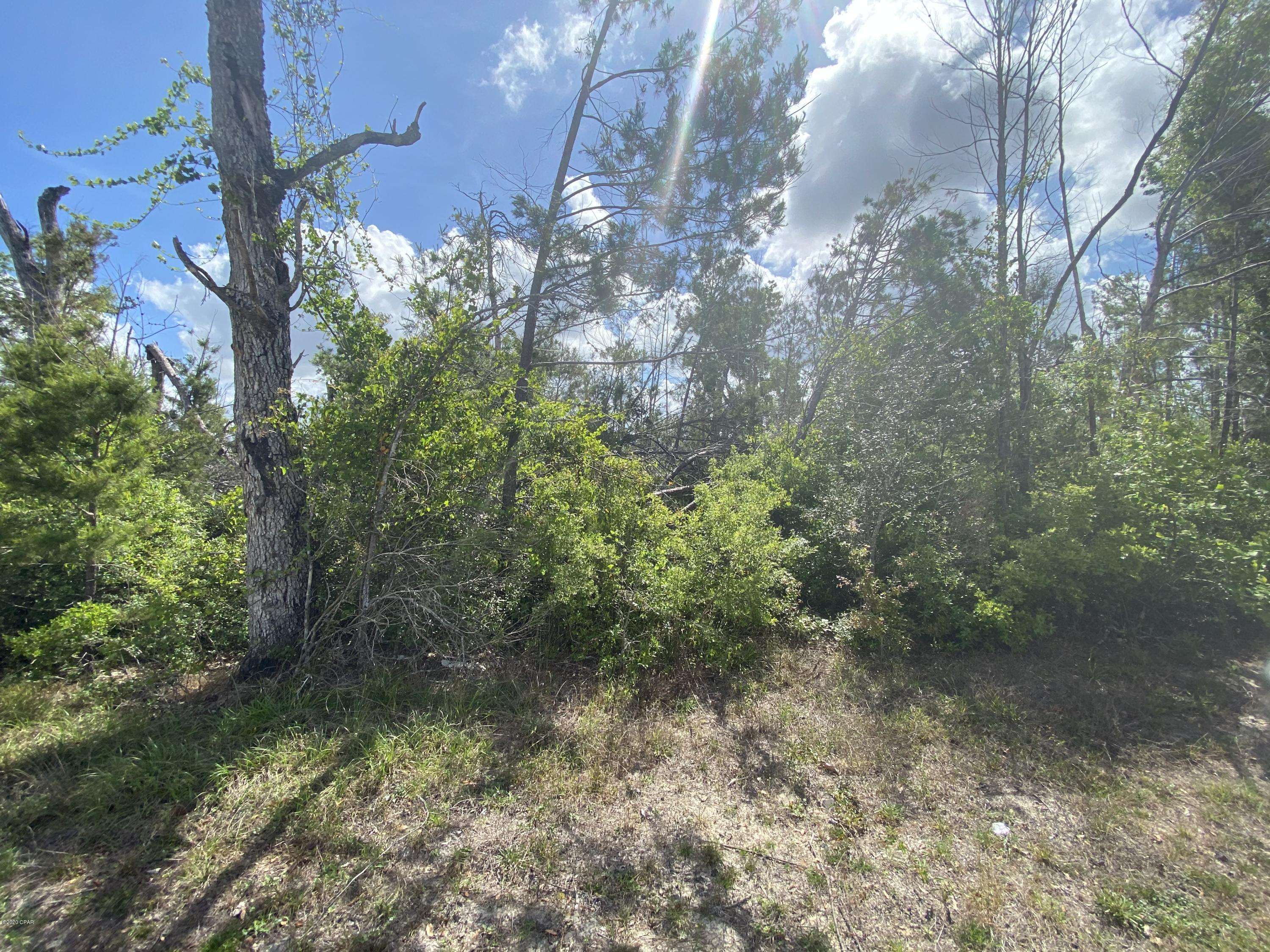 Lynn Haven, FL 32444,405 MEADOWVIEW Terrace #LOT 3