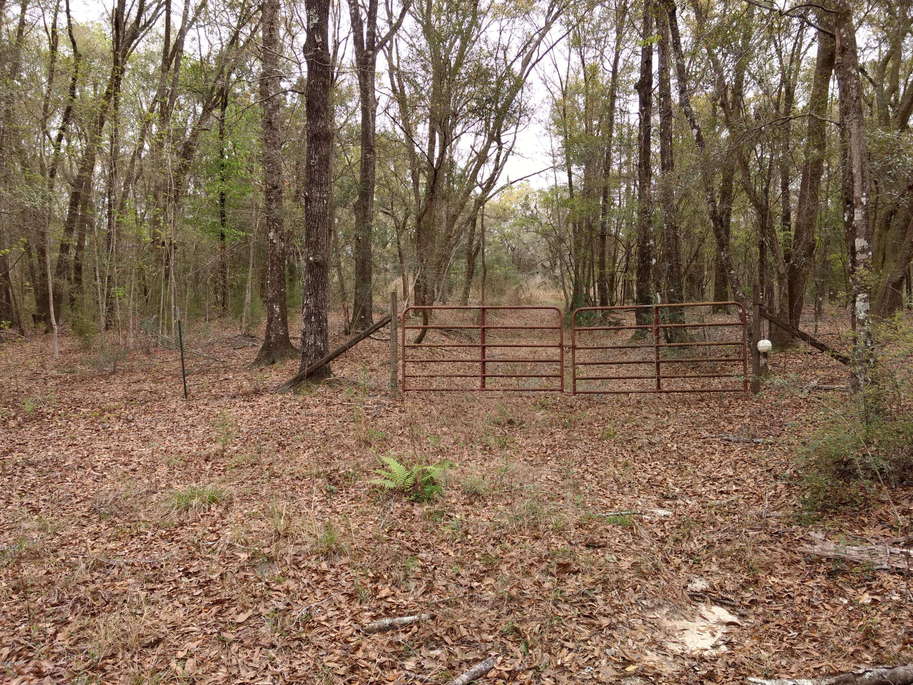 Caryville, FL 32427,4365 Simmons Road