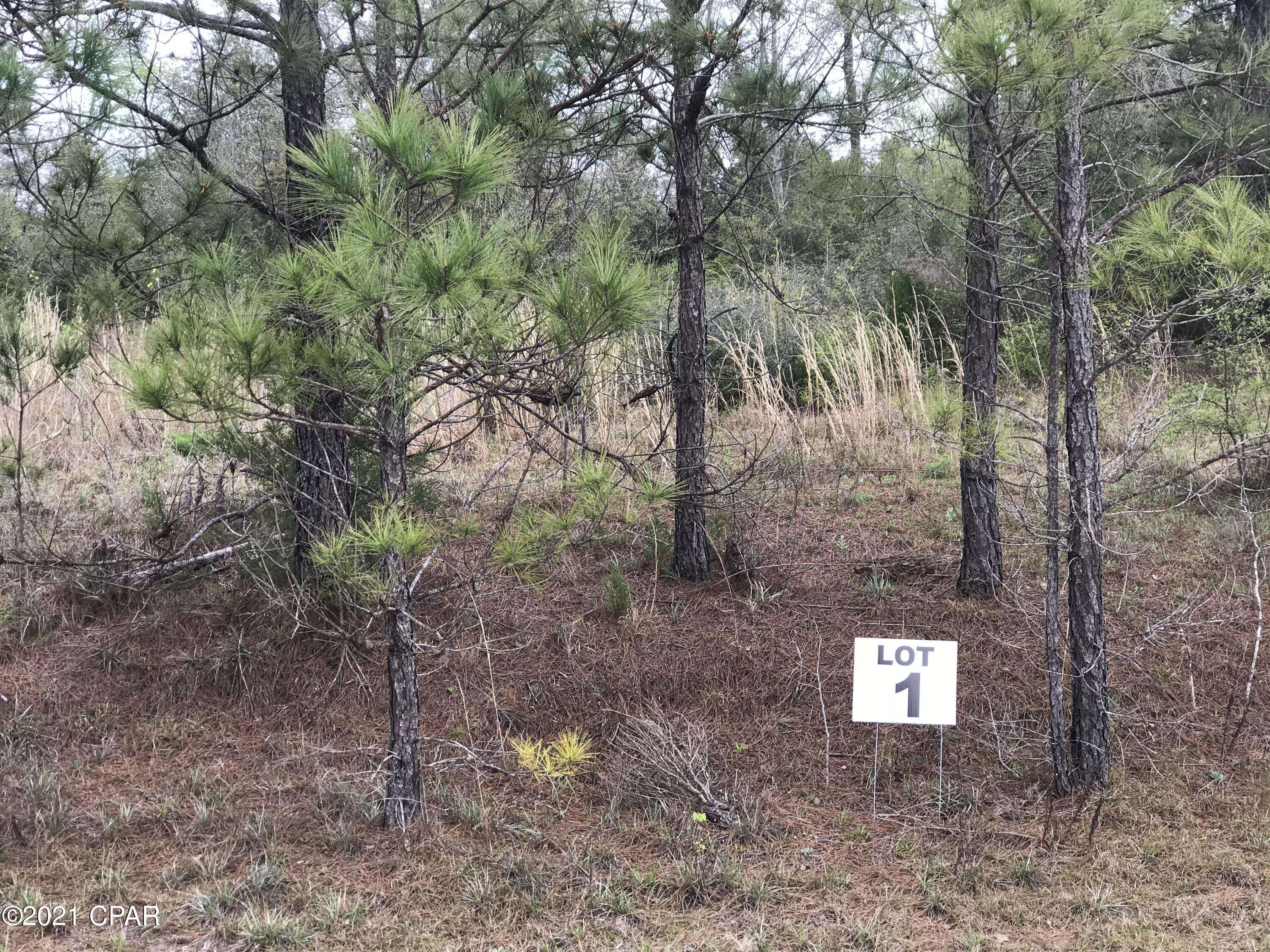 Chipley, FL 32428,lot 1 Madison Lane
