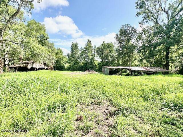 Washington, LA 70589,448 Country Hill Road