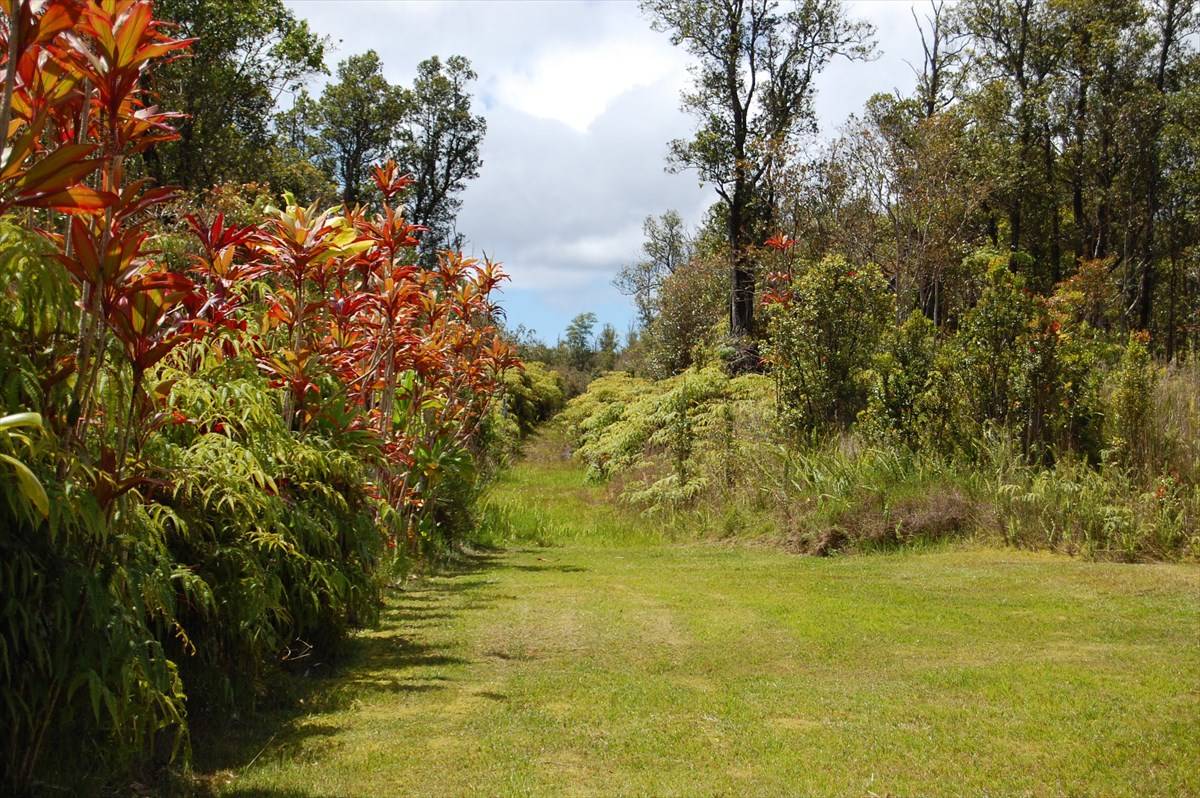 Volcano, HI 96785,11-2141 Ali'i Wao Rd