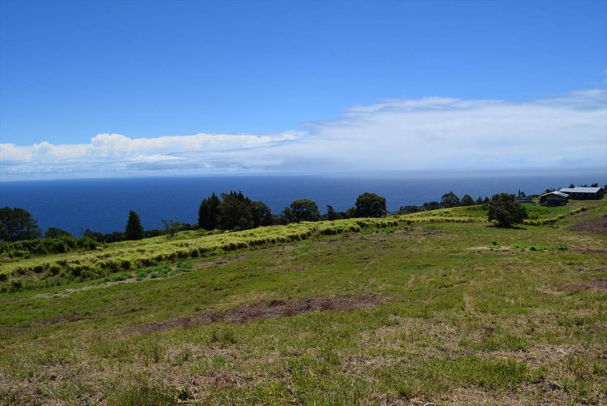 Laupahoehoe, HI 96764,SPENCER RD