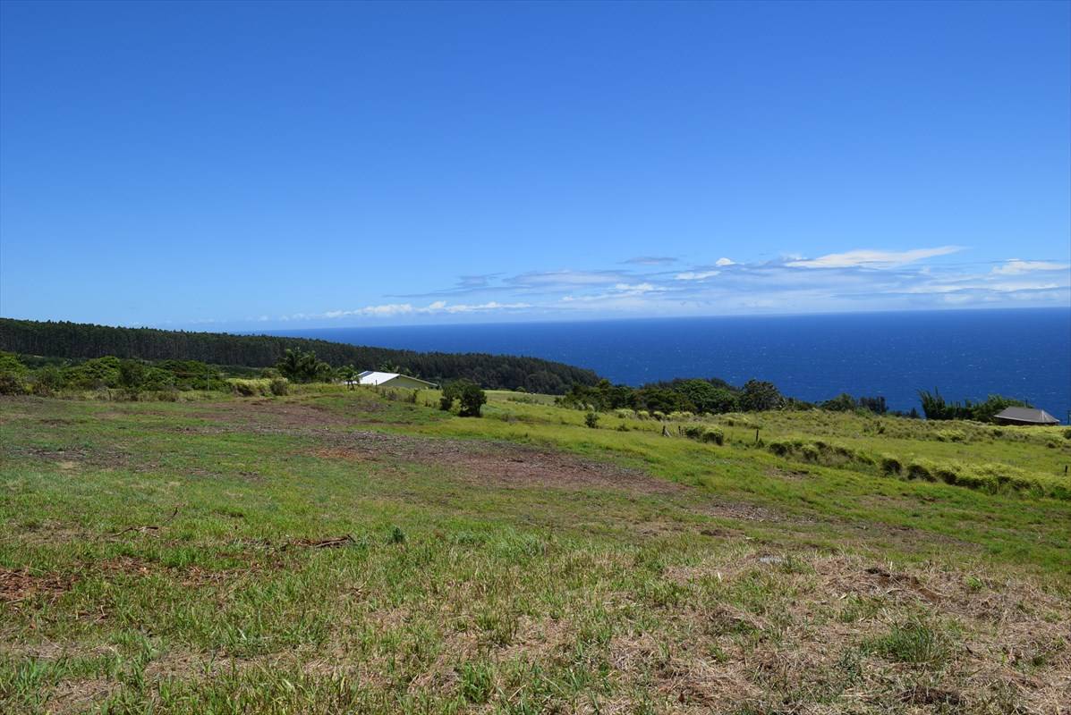 Laupahoehoe, HI 96764,SPENCER RD