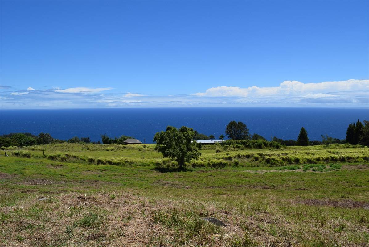 Laupahoehoe, HI 96764,SPENCER RD