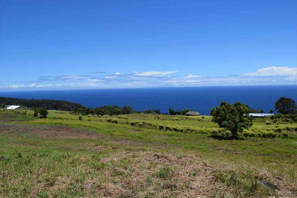 Laupahoehoe, HI 96764,SPENCER RD