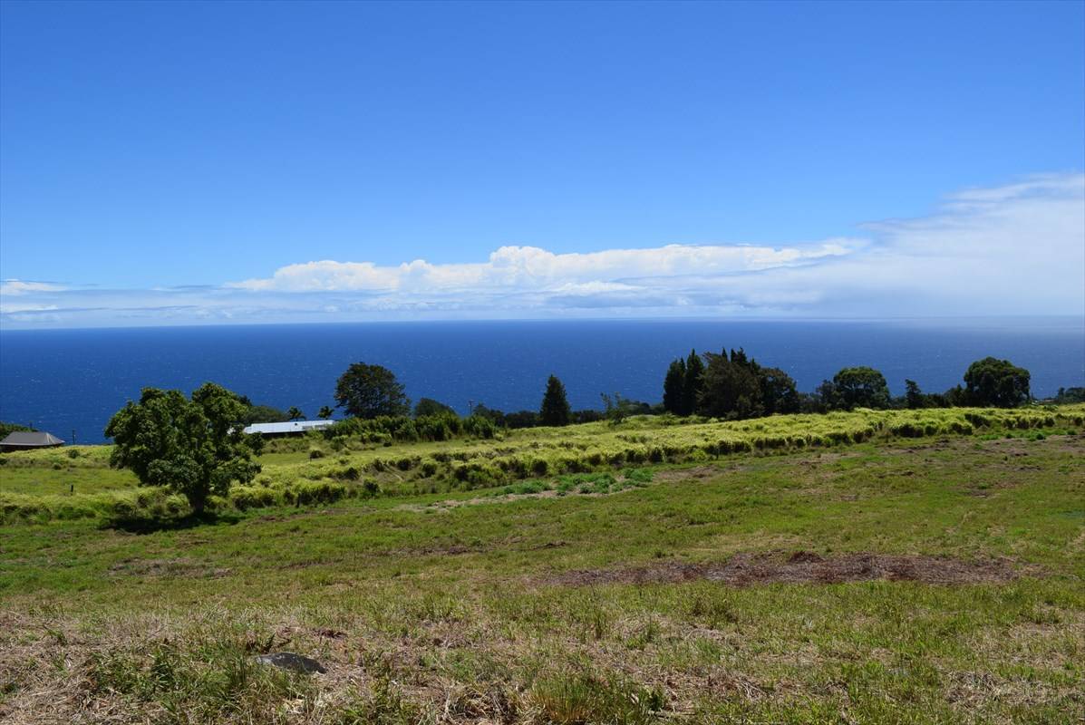 Laupahoehoe, HI 96764,SPENCER RD