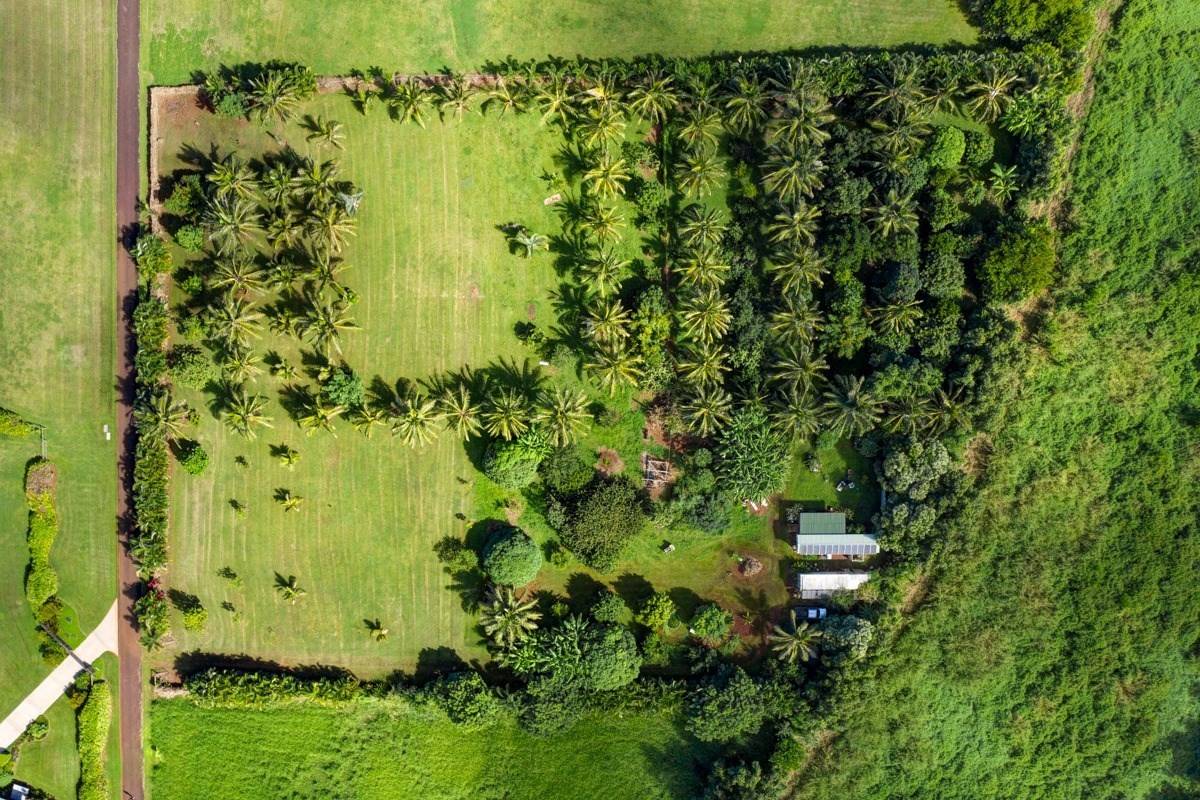 Kilauea, HI 96754,7441-G KOOLAU RD