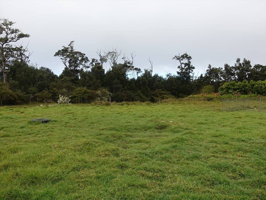 Volcano, HI 96785,ALANUI IIWI