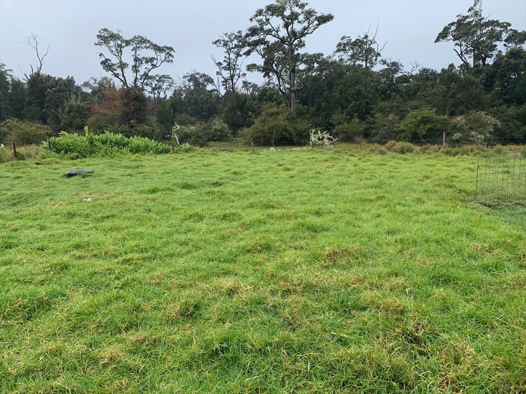 Volcano, HI 96785,ALANUI IIWI