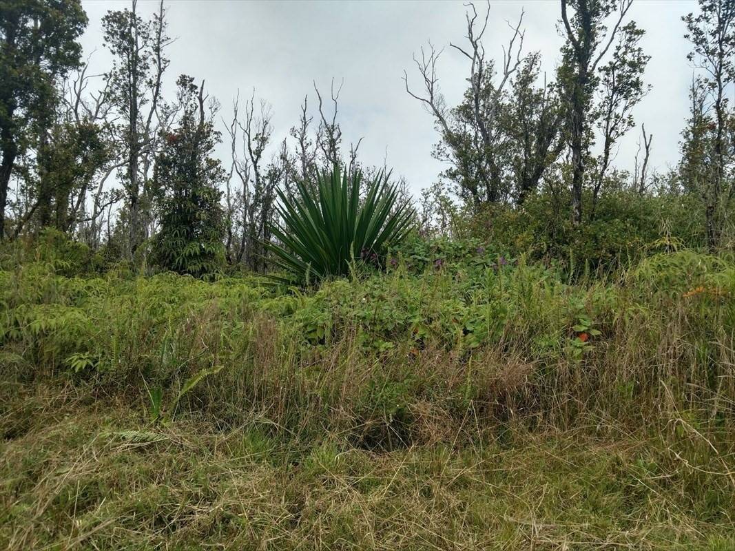 Volcano, HI 96785,OMEKA RD