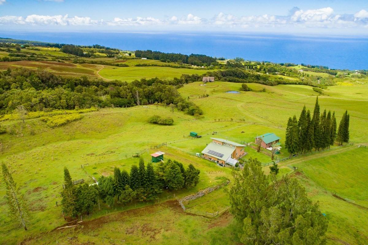 Laupahoehoe, HI 96764,35-1183 HOMESTEAD RD