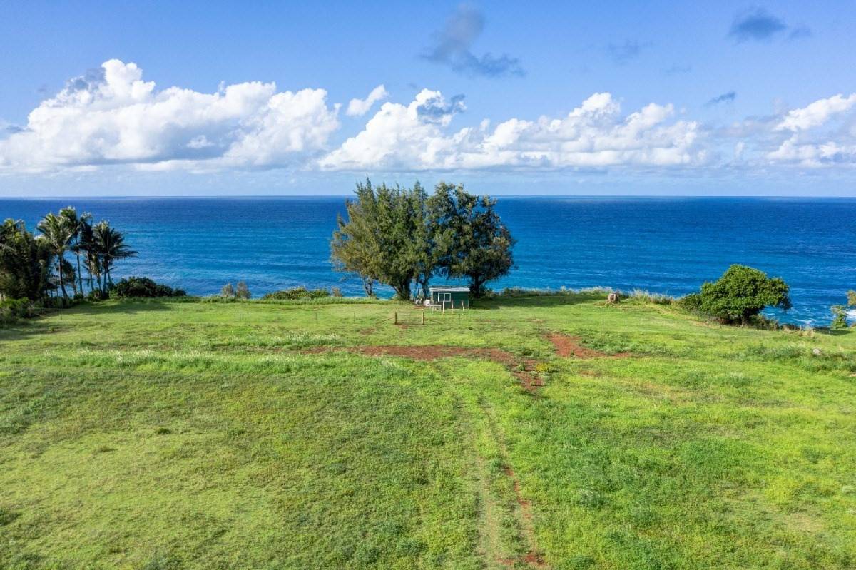 Kilauea, HI 96754,Kauapea Rd.