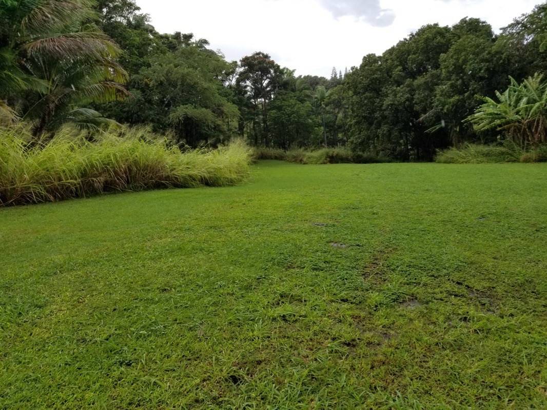 Laupahoehoe, HI 96764,OLD MAMALAHOA HWY