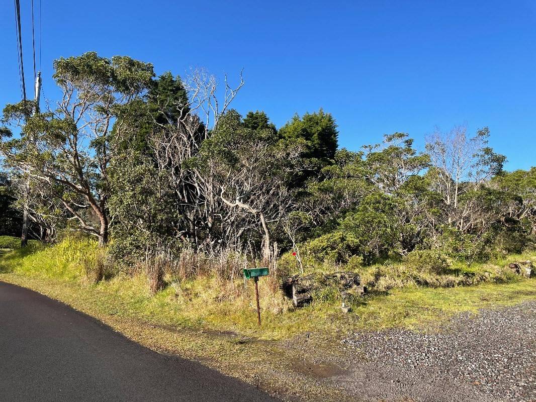 Volcano, HI 96785,PUKEAWE CIR