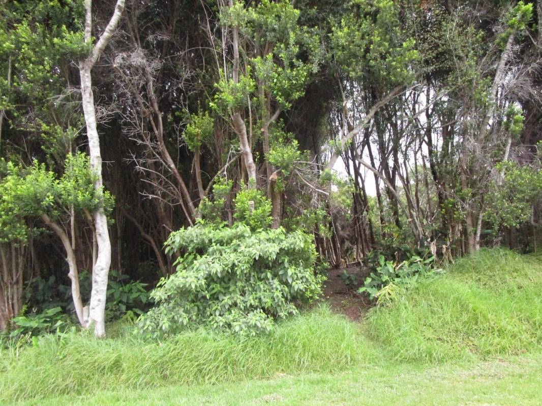 Hawaiian Natl Park, HI 96718,PUKEAWE CIR