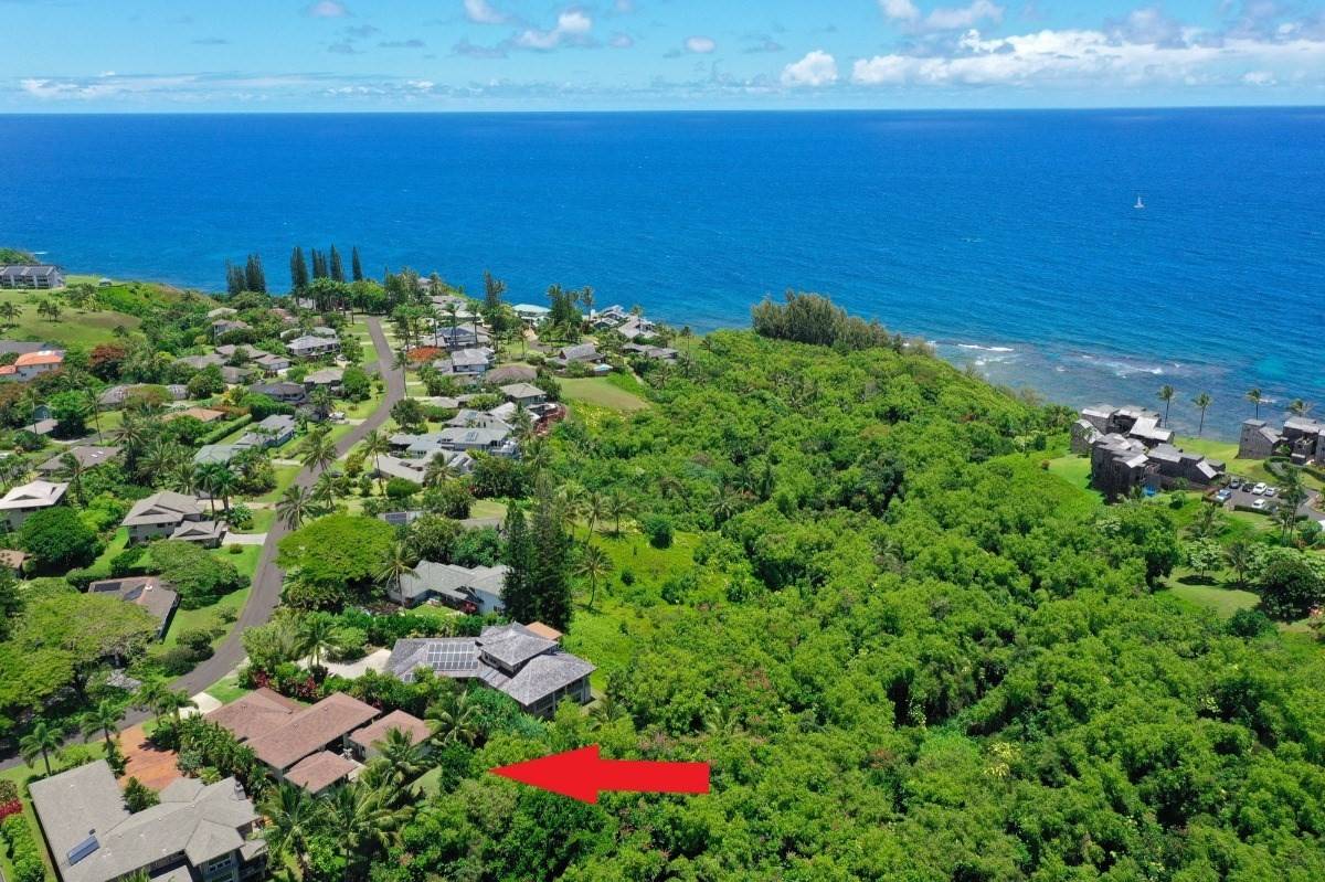 Hanalei, HI 96722,3683 KAWEONUI RD