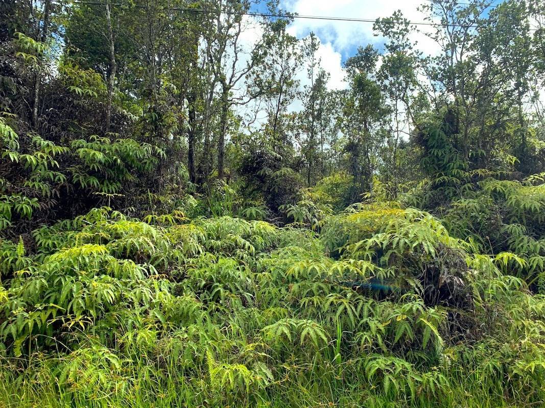 Volcano, HI 96785,KAHAUALEA RD