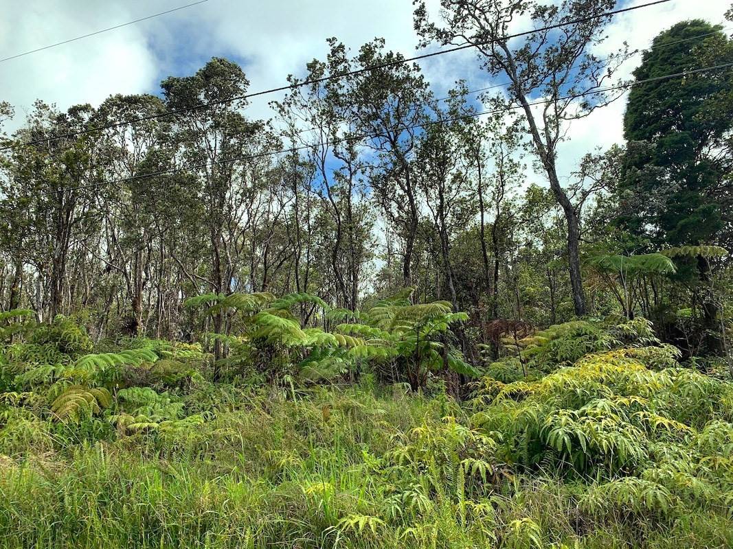 Volcano, HI 96785,KAHAUALEA RD