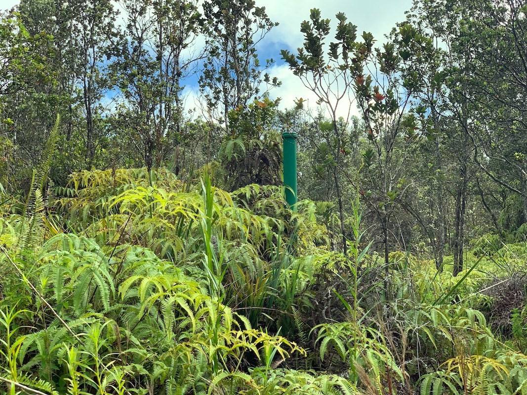 Volcano, HI 96785,KAHAUALEA RD