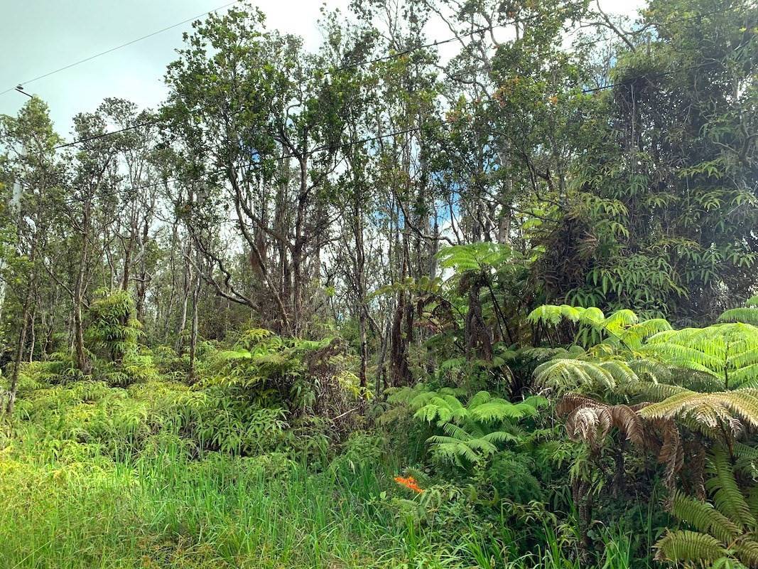 Volcano, HI 96785,KAHAUALEA RD