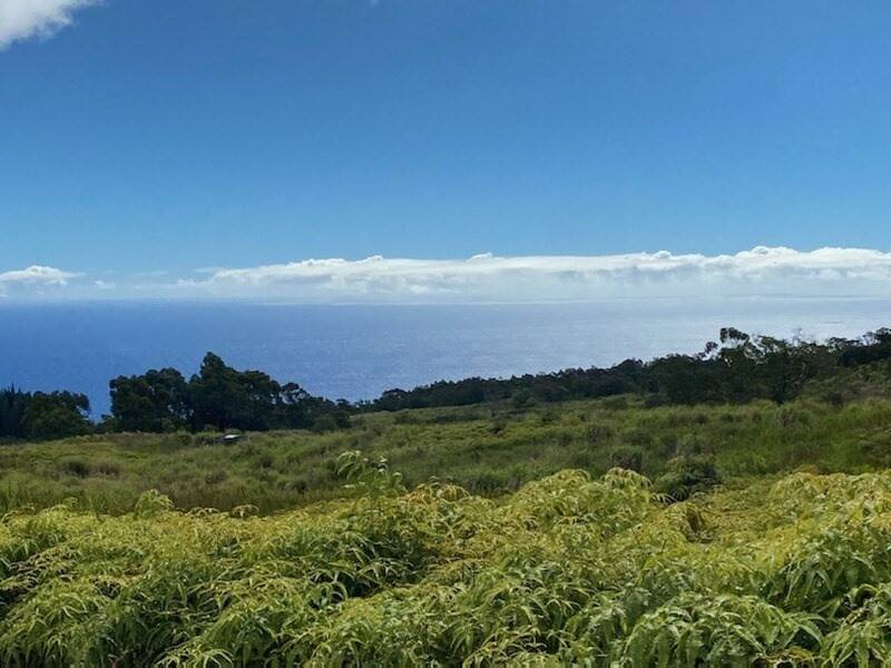 Laupahoehoe, HI 96764,36-753 Spencer Road