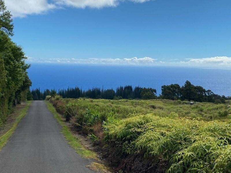 Laupahoehoe, HI 96764,36-753 Spencer Road