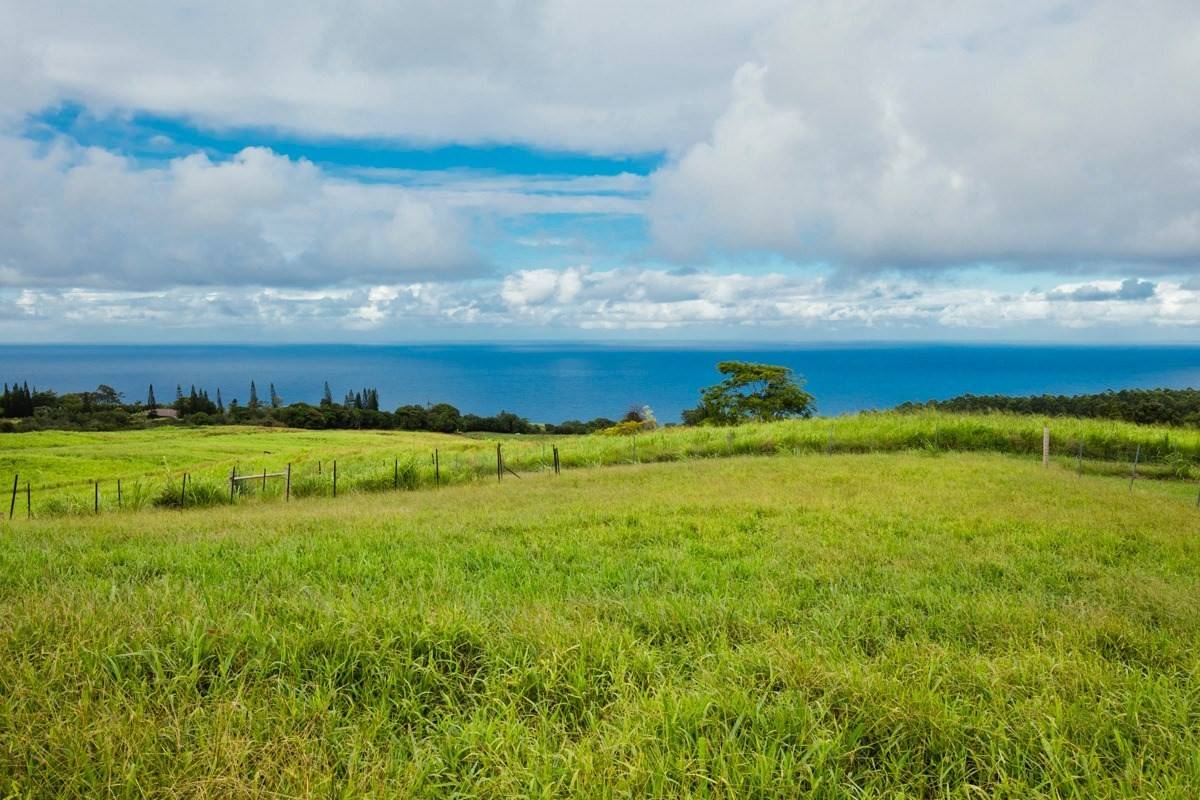 Laupahoehoe, HI 96764,35-326 PAHALE ROAD