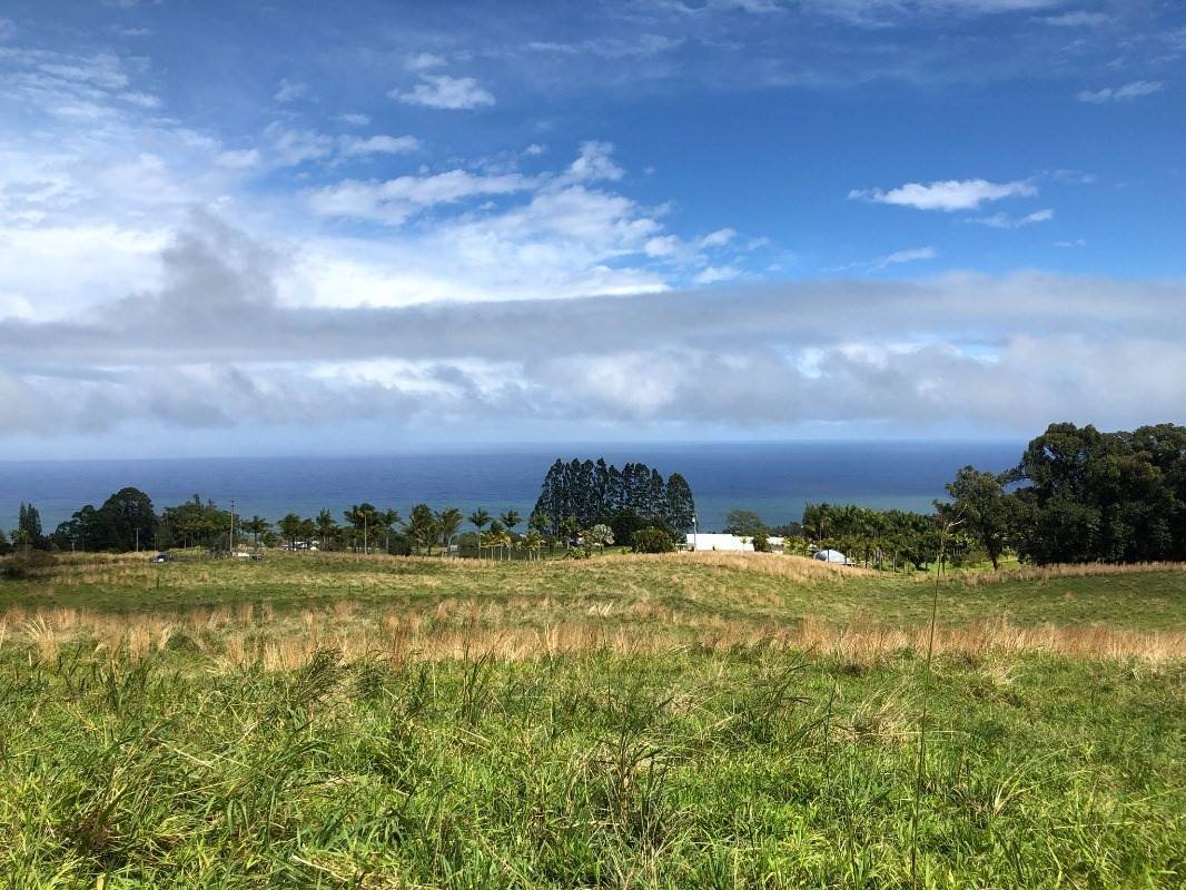 Laupahoehoe, HI 96764,KIHALANI HOMESTEAD RD